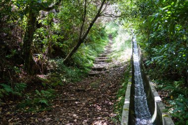 Ribeiro Frio 'dan Portela' ya Levada da Serra do Faial manzarası.