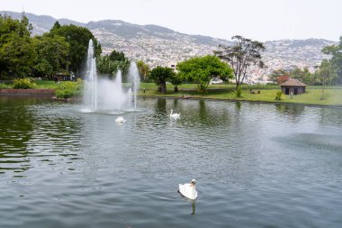 Santa Catarina Parkı Çeşmeleri, burası Funchal 'ın en büyük parklarından biridir.