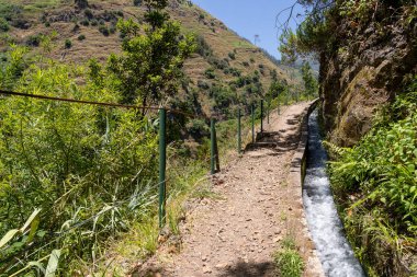 Madeira Levada do Moinho boyunca yürüyen bir patika.