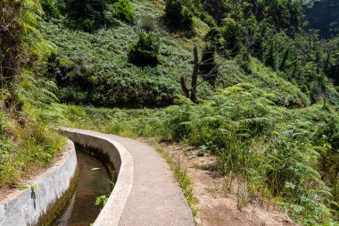 Madeira Levada do Moinho boyunca yürüyen bir patika.