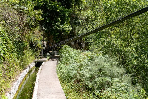 Madeira Levada Moinho 로열티 프리 스톡 이미지