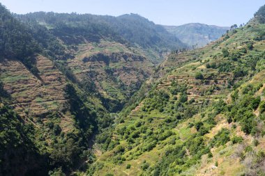 Portekiz 'in Madeira adasındaki güzel dağlar..