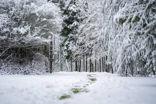 Der Geräumte Weg Vom Schnee Geschlossenen Toren — Stockfoto