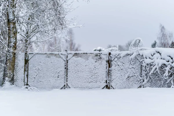 Bramy Ogrodzie Śniegiem Okresie Zimowym — Zdjęcie stockowe