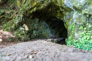 Levada 'daki ormanda yürüyüş yolu Caldeirao Verde Yolu, Madeira Adası, Portekiz.