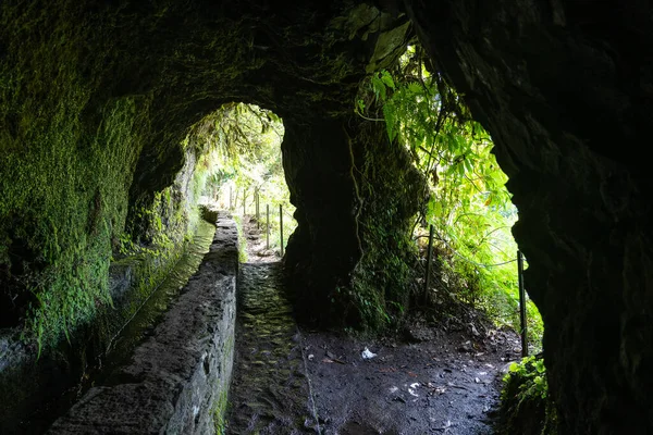 Vandringsled Skogen Levada Caldeirao Verde Trail Madeira Portugal — Stockfoto