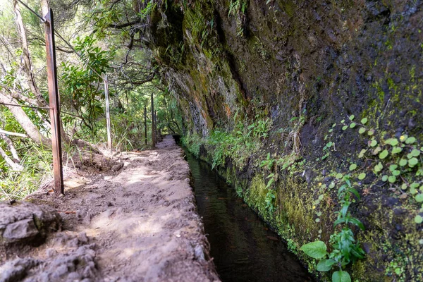 Turistická Stezka Lese Levadě Caldeirao Verde Trail Ostrov Madeira Portugalsko Stock Snímky