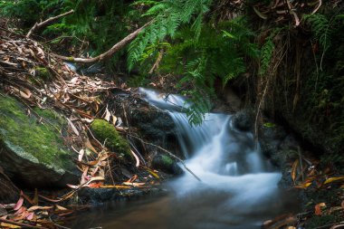 Madeira Adası 'nda mini şelale