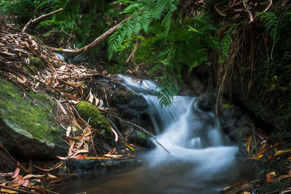 Madeira Adası 'nda mini şelale