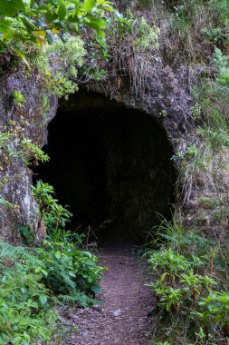 Caminho do pinaculo e folhadal levada Madeira adasında