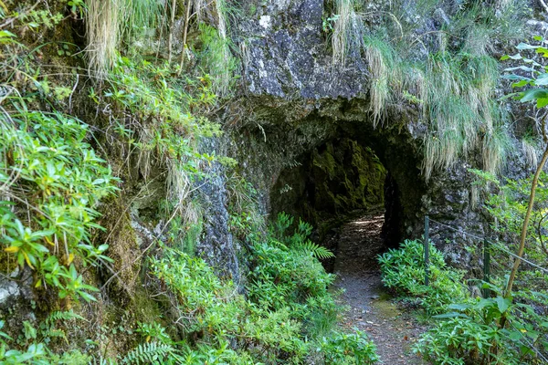 Path Caminho Pinaculo Folhadal Levada Madeira Island — Foto Stock