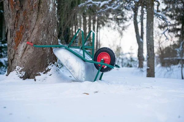 Brouette Arbre Dans Neige Hiver — Photo