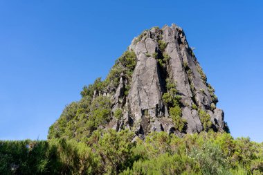 Madeira Adası 'ndaki Pinaculo kayası. Portekiz