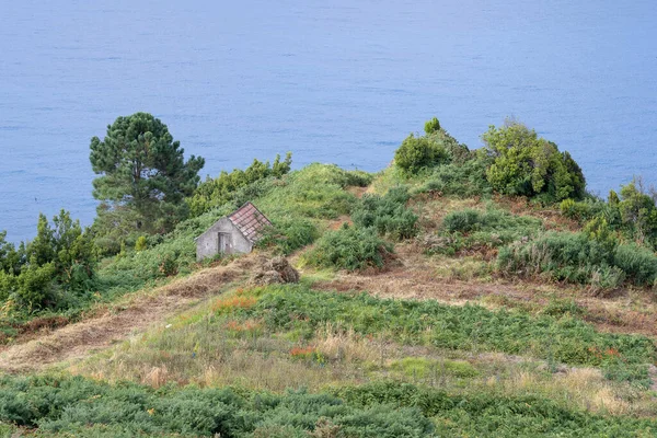 Petite Grange Près Des Falaises Île Madère Portugal — Photo