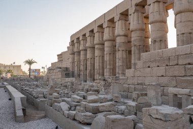 Luxor 'daki Luxor Tapınağı' nın güçlü taş sütunları, Eski Teb, Mısır. Luxor Tapınağı, Nil Nehri 'nin doğu kıyısında yer alan büyük bir Eski Mısır tapınak kompleksi.