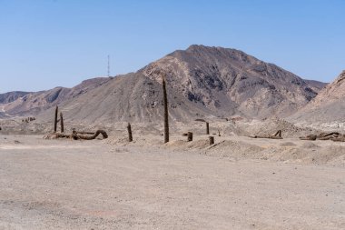 Sahara çölünde bir yerlerde solmuş palmiyeler. Mısırca.