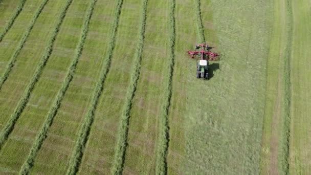 Plunge District Lithuania June 2022 Rows Making Dry Hay Baling — 图库视频影像