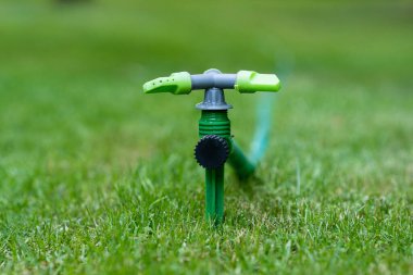 Çimlerin fıskiyeli fotoğrafını kapat.