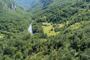 Karadağ 'daki dağların yamaçlarındaki Mountain River Tara Turkuaz ve Ormanı. Durmitor Ulusal Parkı 'ndaki Avrupa' nın en büyük kanyonu.