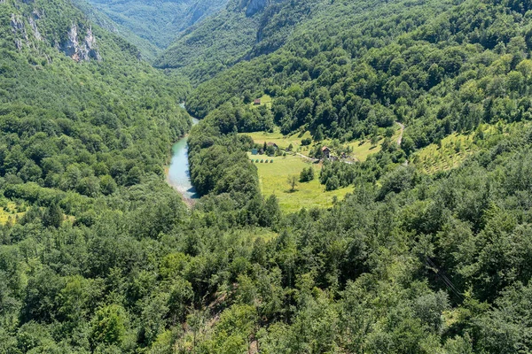 モンテネグロの山の斜面に山の川タラターコイズと森 デュルモーター国立公園のヨーロッパ最大の峡谷 — ストック写真