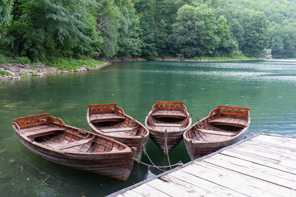 Old wooden boats on Biogradsko lake in the forest of Montenegro