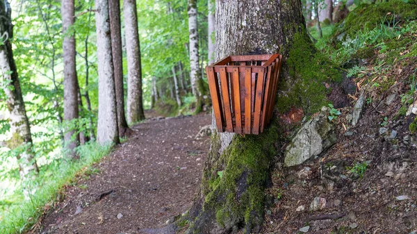 Recycle bin at the tree near the hiking path in Montenegro.