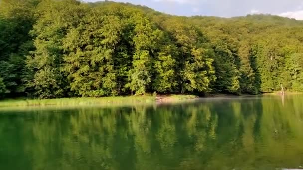 Biogradsko Lake National Park Biogradska Gora Montenegro — Vídeos de Stock
