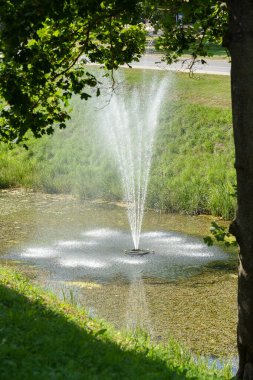su çeşme püskürtme su, güzel bahçe ve park süslemeleri
