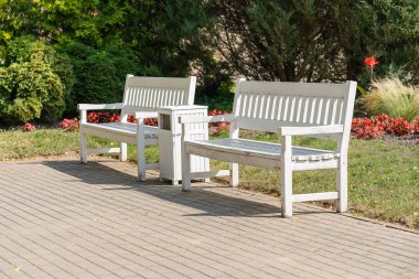White benches in park at summer sunny day. Latvia.