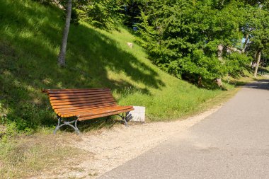 Brown benches in park at summer sunny day. Latvia.