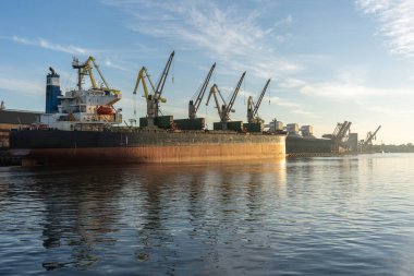 Cranes in port at the morning waiting for work.