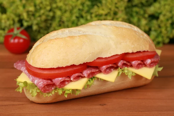 Salami Sub Sandwich — Stock Photo, Image