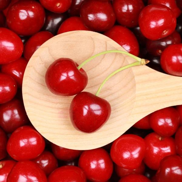 Fresh Cherries — Stock Photo, Image