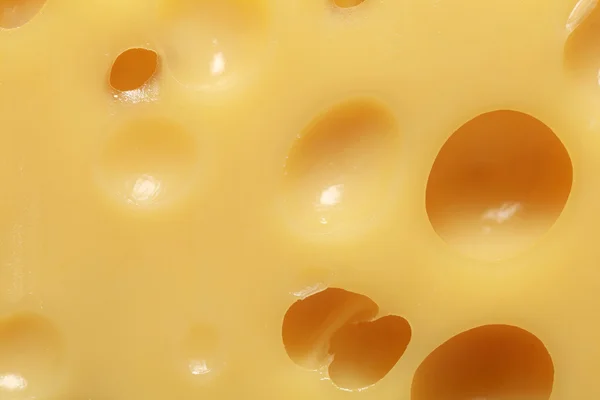 Cheese with holes — Stock Photo, Image