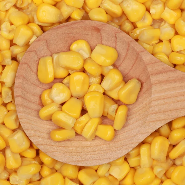 Corn on a wooden spoon — Stock Photo, Image