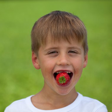 Little boy eating a strawberry