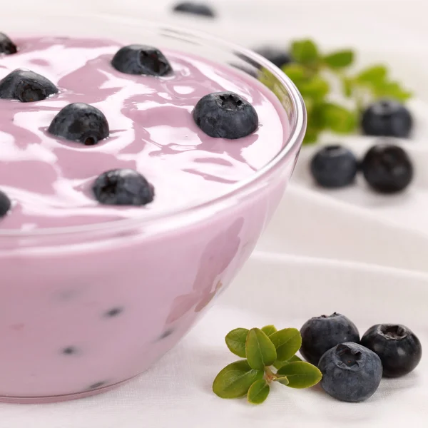 Joghurt mit frischen Blaubeeren — Stockfoto