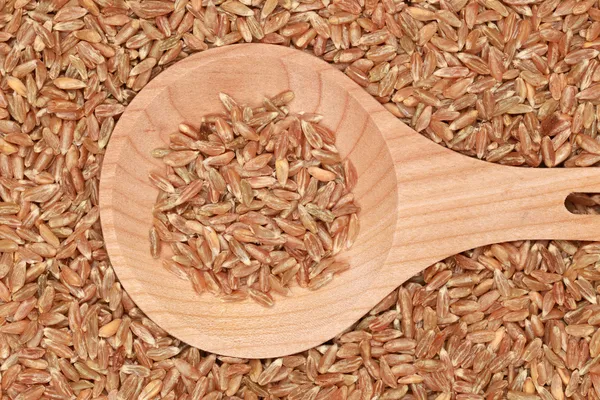 Пшениця на дерев'яній ложці — стокове фото