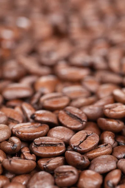 咖啡豆与副本空间 — 图库照片