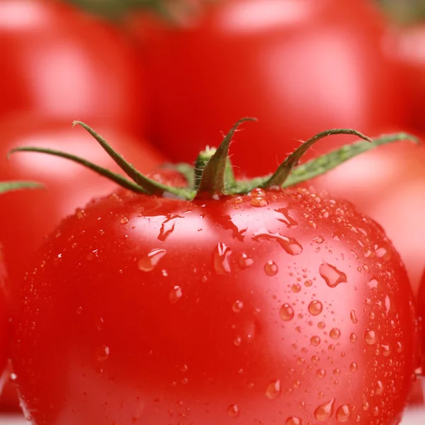 Nahaufnahme einer Tomate — Stockfoto