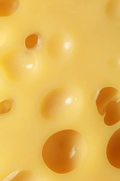 Cheese with many holes — Stock Photo, Image