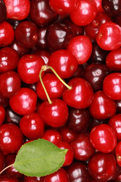 Cherry achtergrond — Stockfoto