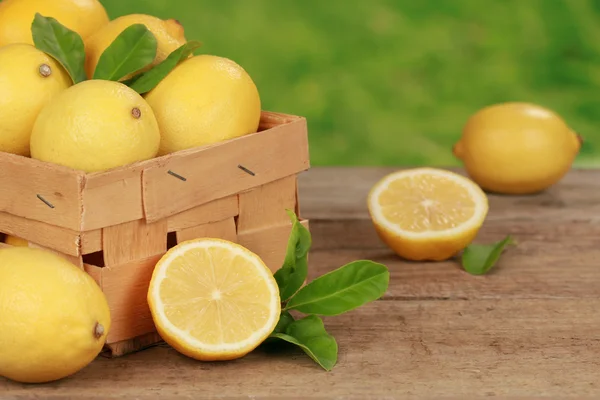 Récolte des citrons — Photo