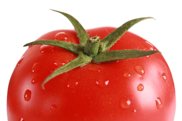 Primo piano di un pomodoro fresco — Foto Stock