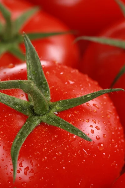 Nahaufnahme einer reifen Tomate — Stockfoto