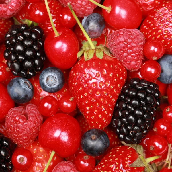 Collection of berries — Stock Photo, Image