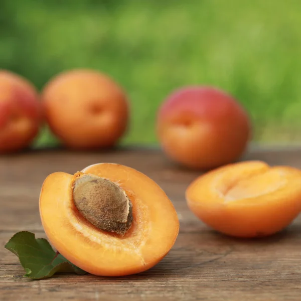 Aprikot segar — Stok Foto