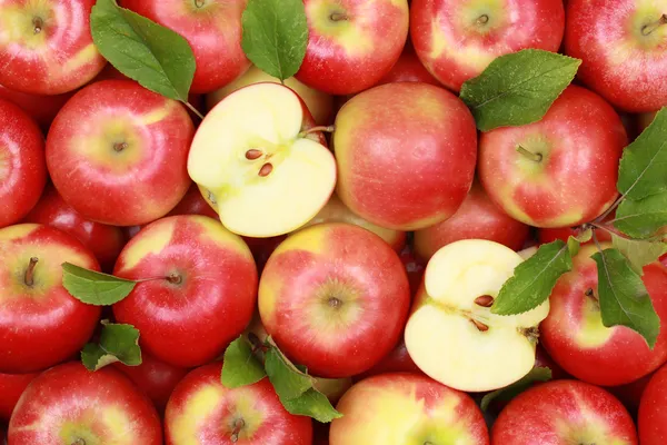 Червоні яблука з листям Стокове Фото
