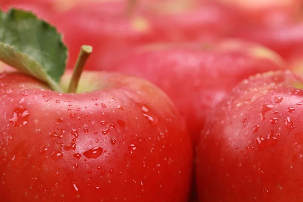 Mele rosse — Foto Stock