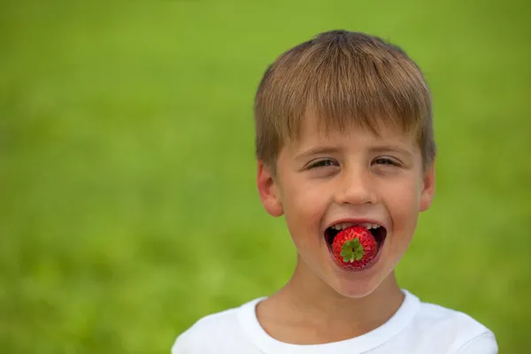 小さな男の子はイチゴを食べる — ストック写真